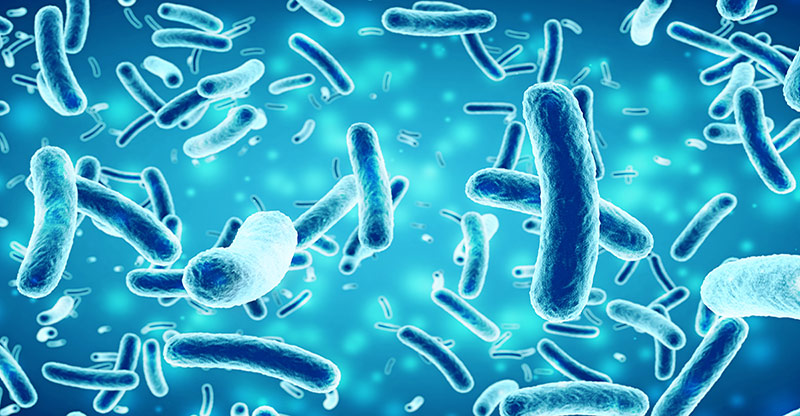 Bacteria & Enzymes Banner Image