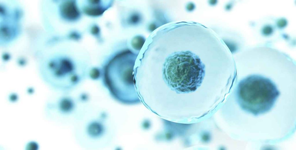 EcoCare - Septic Bacteria