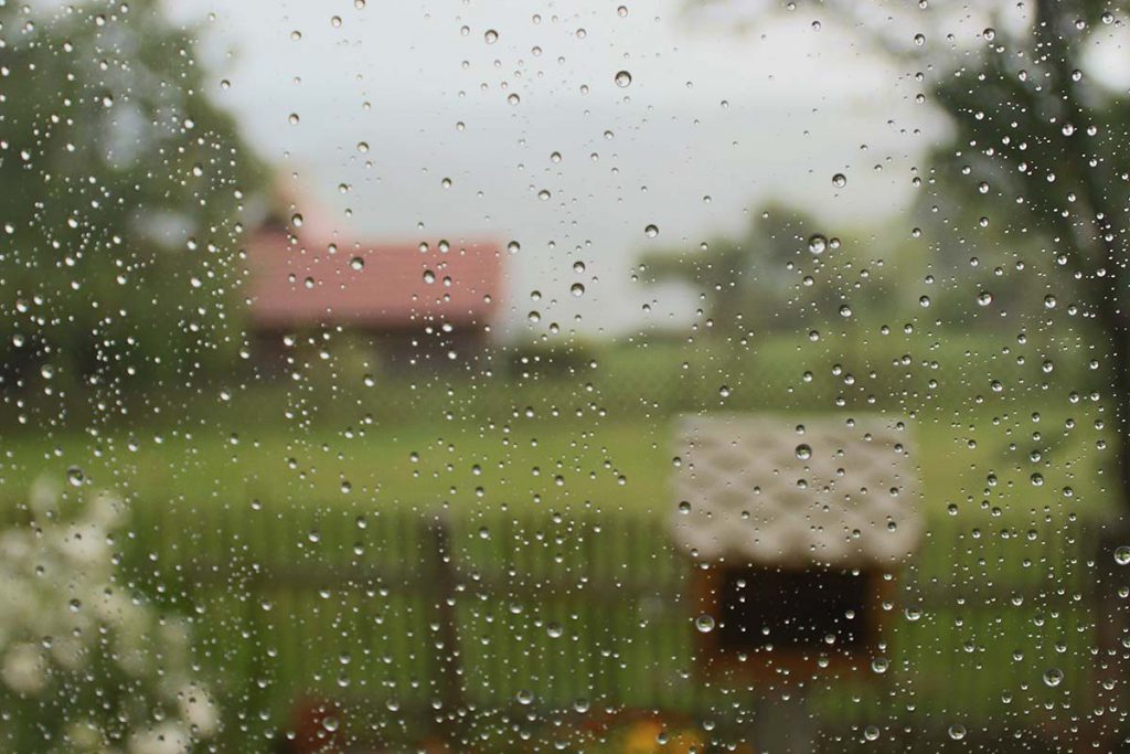 Septic Smell When it Rains