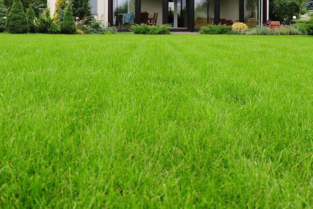 How to Fix a Leach Drain Banner Image