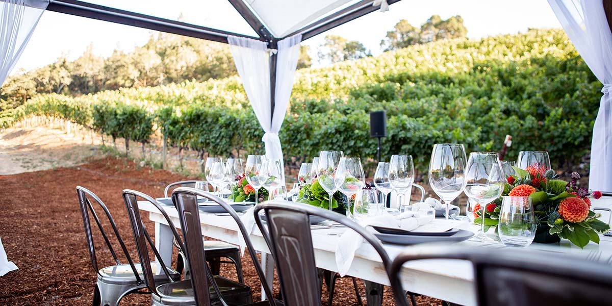 Vineyard and Restaurant – Grease Trap and AWTS Restoration Banner Image