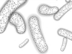 Biological Stimulant Technology