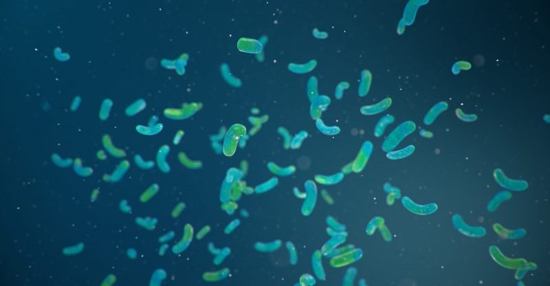 Readily Available Bioaugmentation Solutions Banner Image