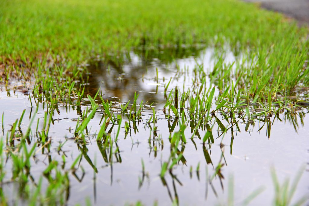 Leach Drain Blockage Restoration