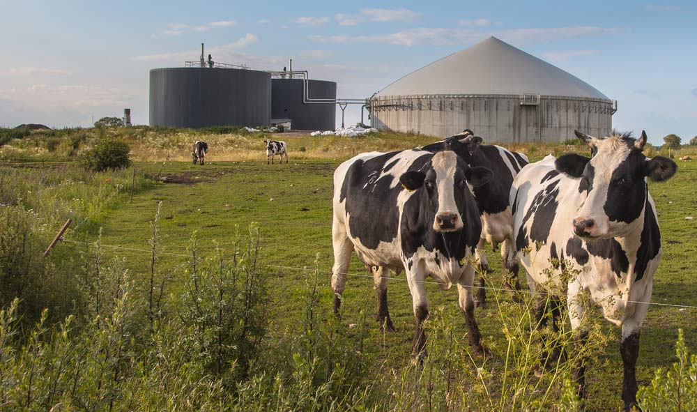 agribusiness biogas production