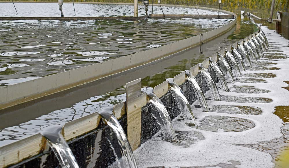 professioanl nitrogen management