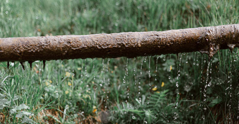 septic additives do work